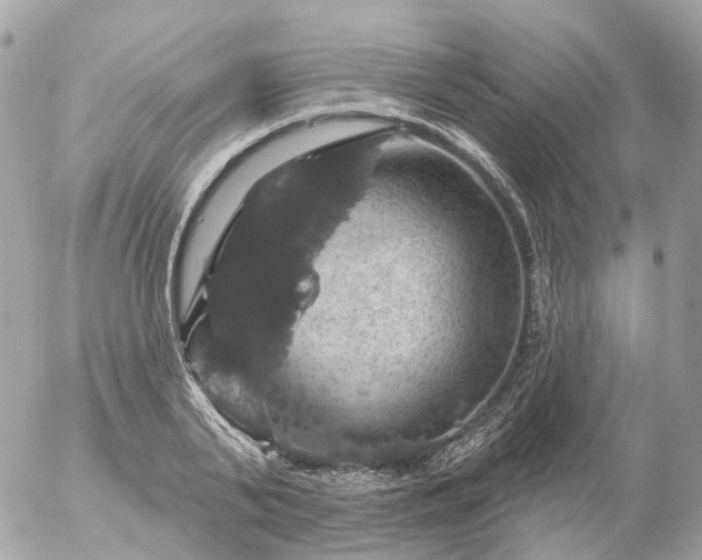 X0000056330791200509092327