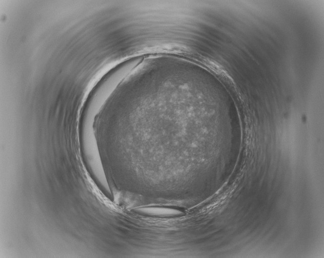 X0000056330792200509092327