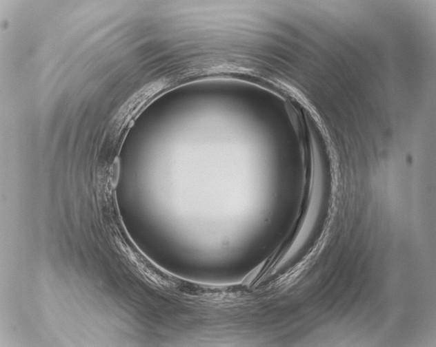 X0000056330793200509092327