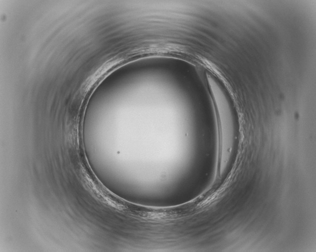 X0000056330794200509092327