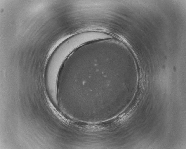 X0000056330795200509092327