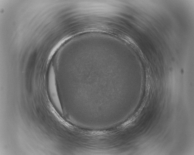 X0000056330796200509092327