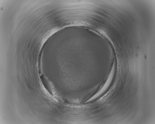 X0000056330797200509092327