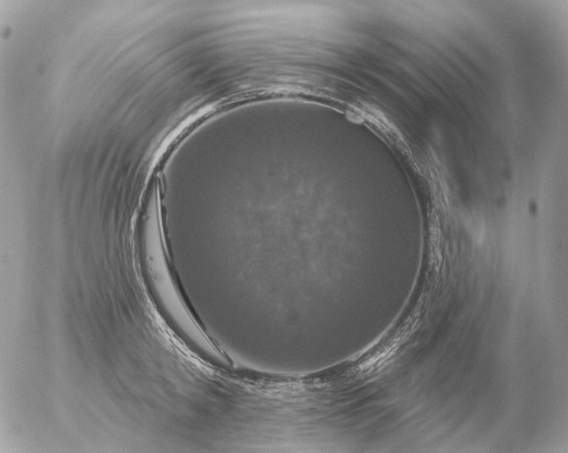 X0000056330798200509092327