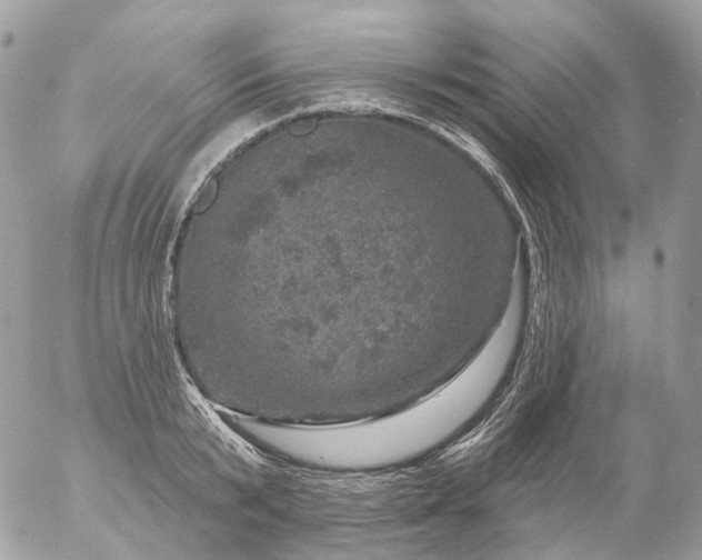 X0000056330799200509092327