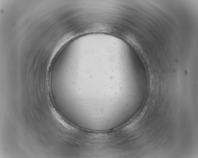 X0000056330800200509092327