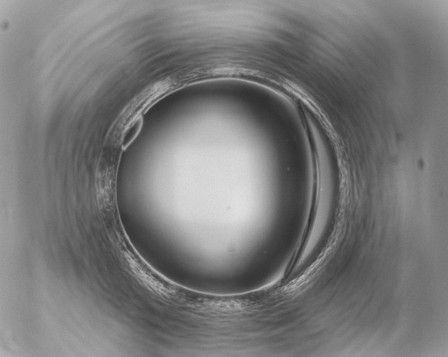 X0000056330801200509092327