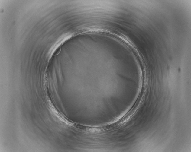 X0000056330806200509092327