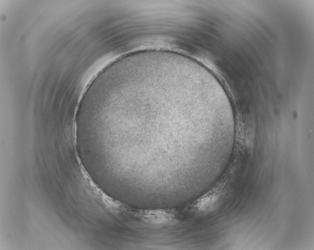 X0000056330807200509092327