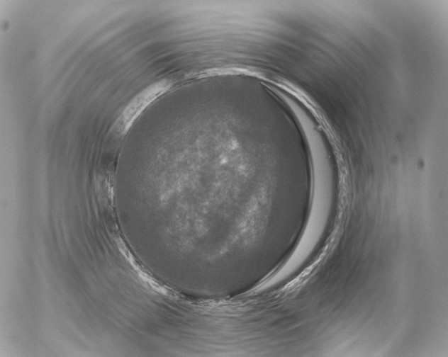 X0000056330809200509092327