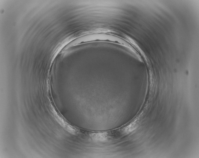 X0000056330810200509092327