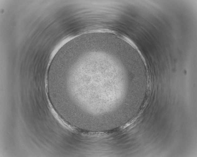 X0000056330811200509092327