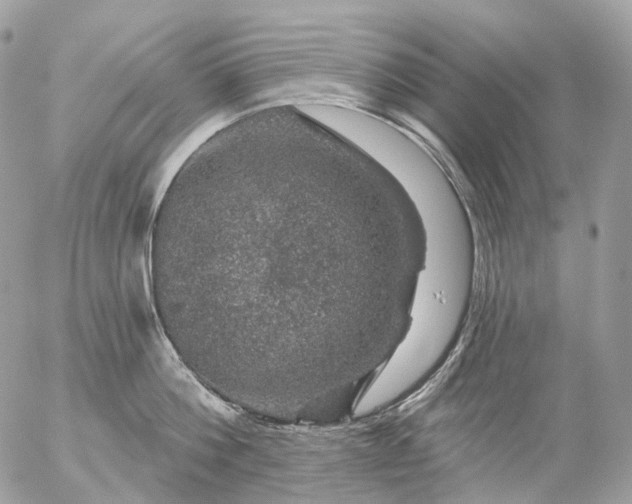 X0000056330812200509092327