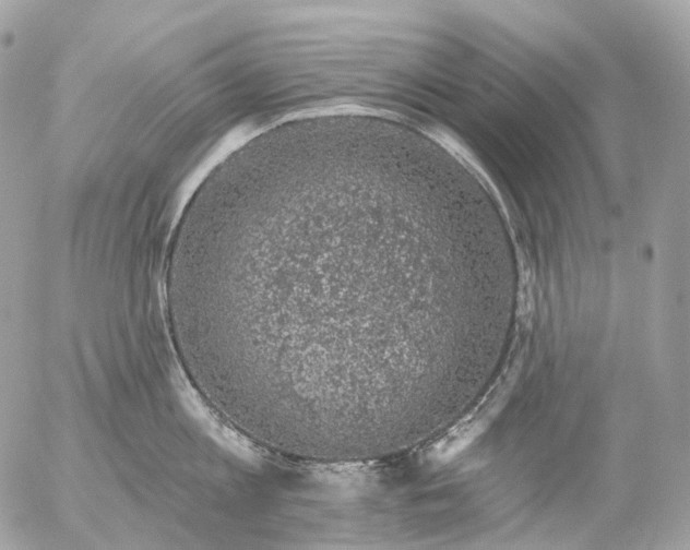 X0000056330813200509092327