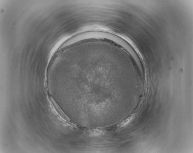 X0000056330815200509092327