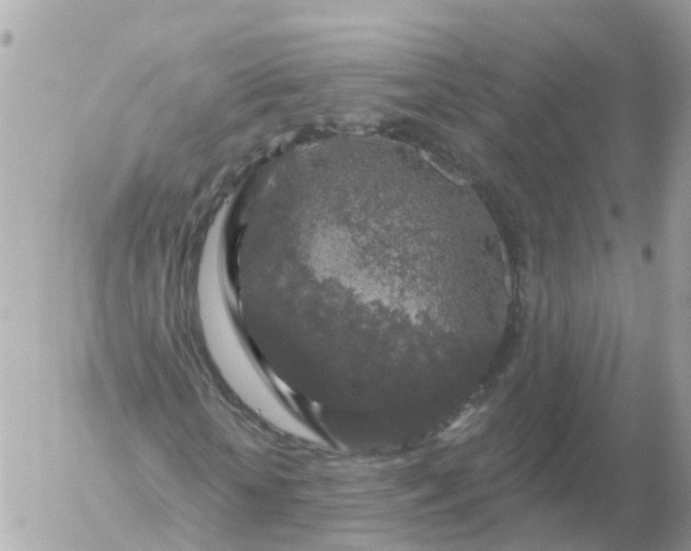 X0000056330818200509092326