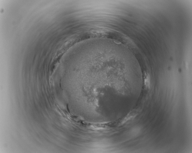 X0000056330819200509092326