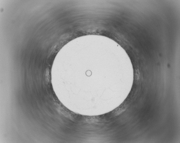 X0000056330820200509092326