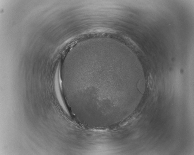 X0000056330821200509092326