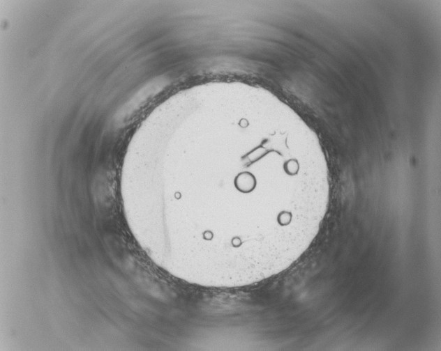 X0000056330824200509092326