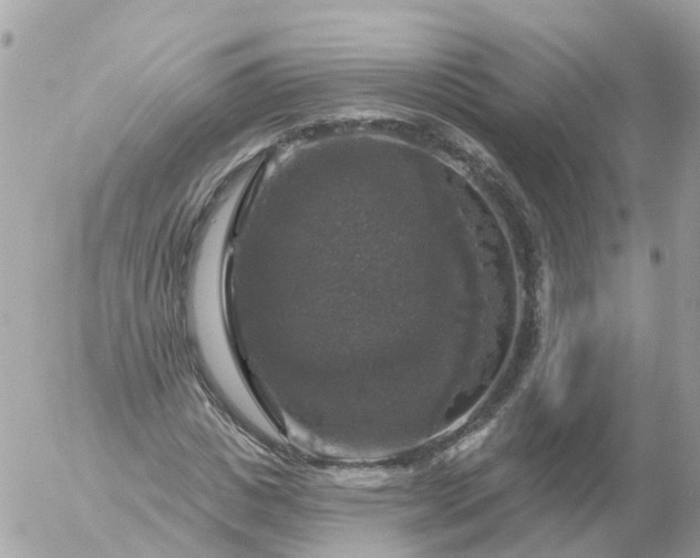 X0000056330825200509092326