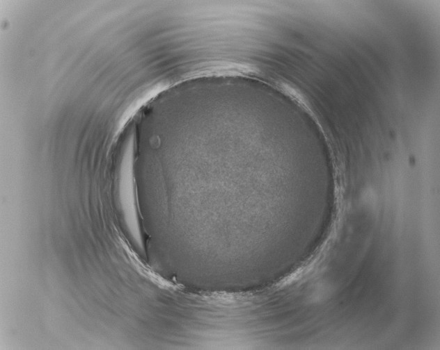 X0000056330827200509092326