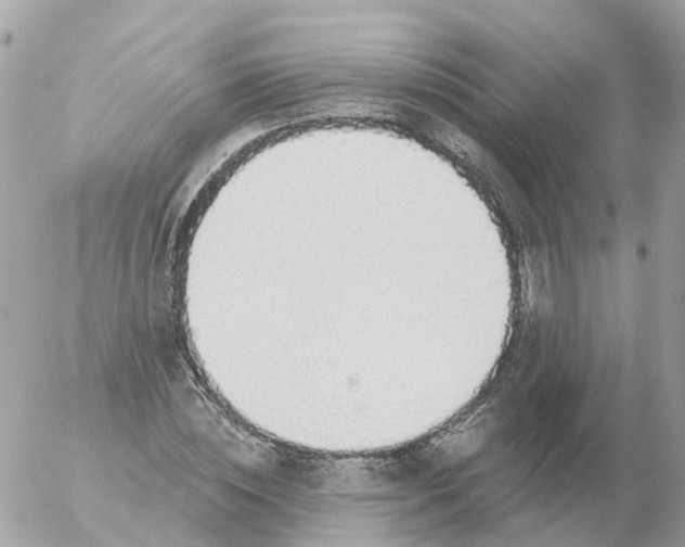 X0000056330828200509092326