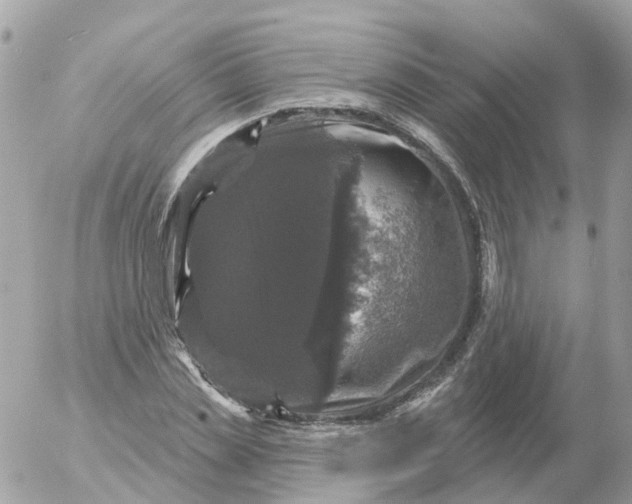 X0000056330829200509092326