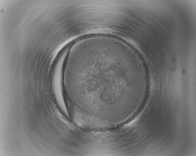 X0000056330830200509092326