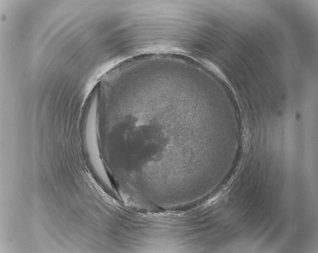 X0000056330831200509092326