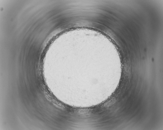 X0000056330832200509092326