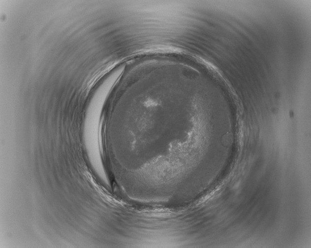 X0000056330833200509092326