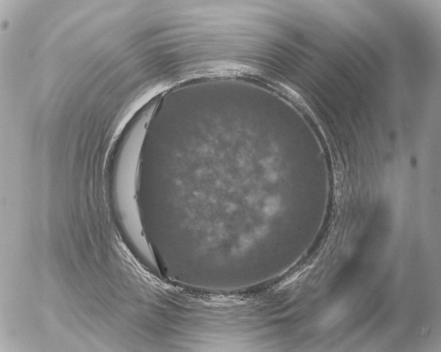 X0000056330835200509092326