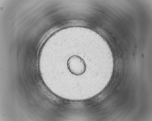 X0000056330836200509092326