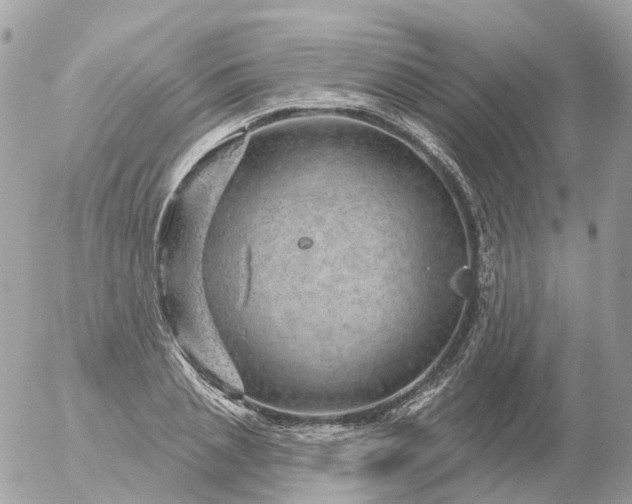 X0000056330837200509092326