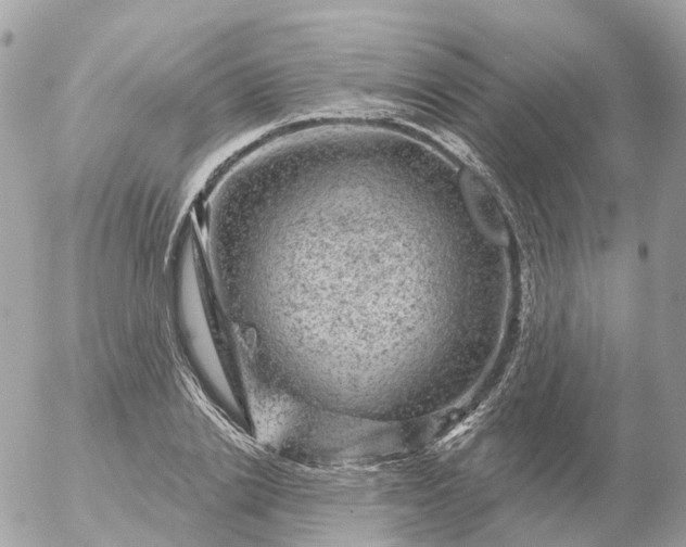 X0000056330838200509092326