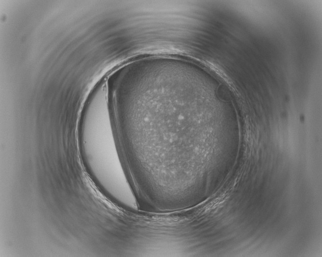 X0000056330840200509092326