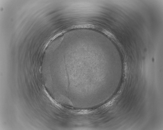 X0000056330841200509092326