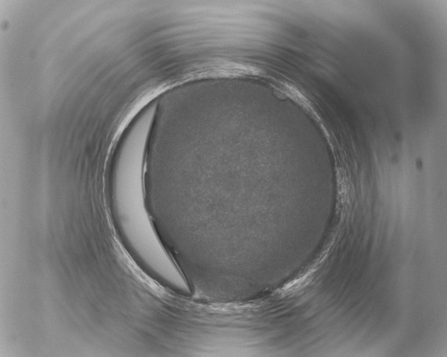 X0000056330843200509092326