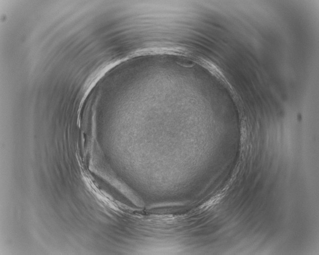 X0000056330844200509092326