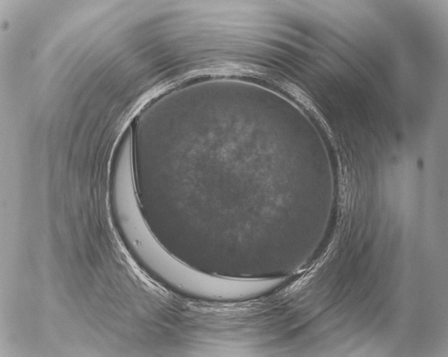 X0000056330845200509092326