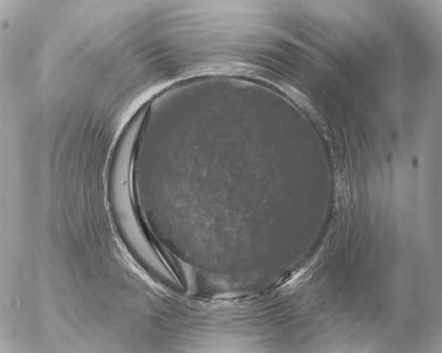 X0000056330846200509092326