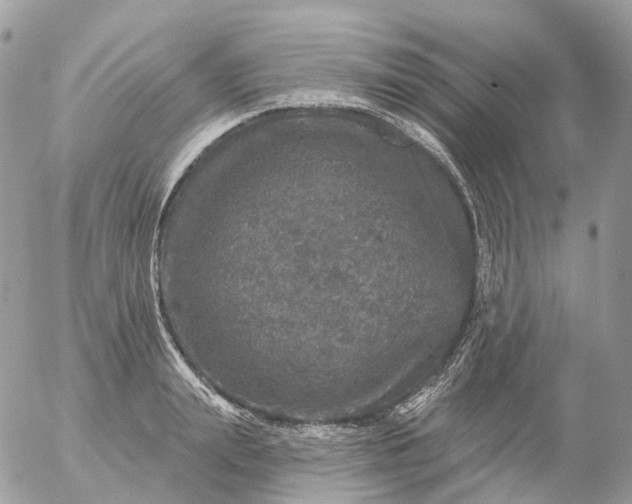 X0000056330847200509092326