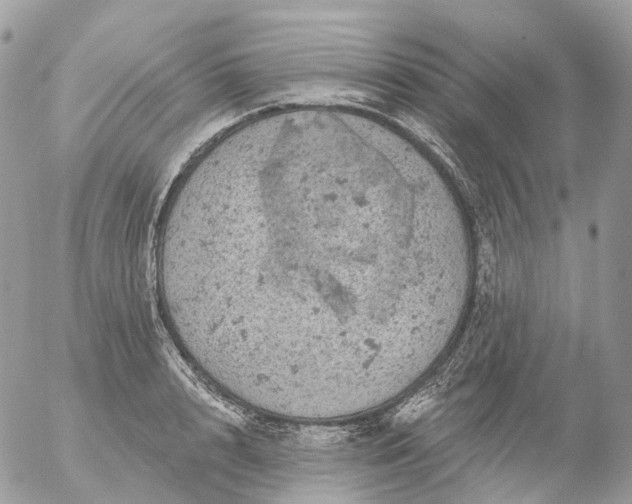 X0000056330848200509092326