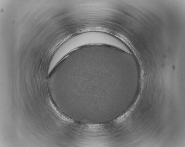 X0000056330849200509092326