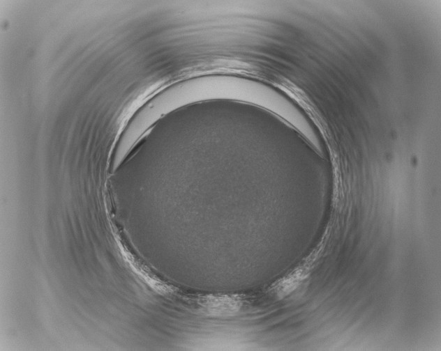 X0000056330850200509092326