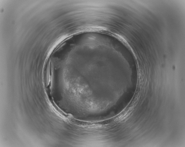 X0000056330851200509092326