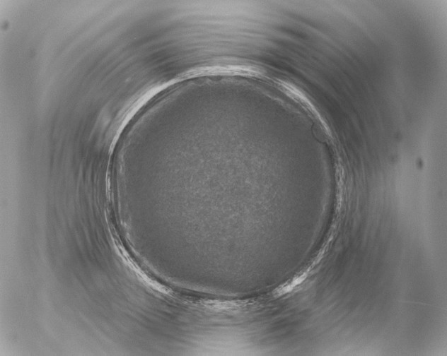 X0000056330852200509092326