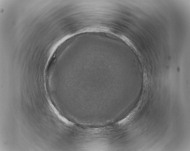 X0000056330854200509092326