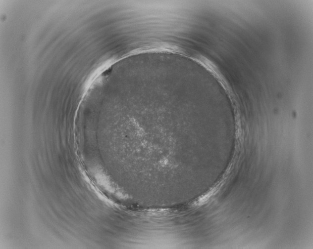 X0000056330858200509092326